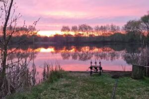 Wellingborough Fishing Lakes