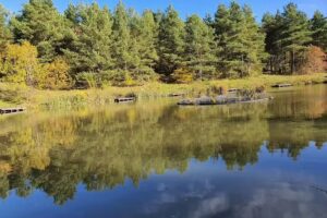 Wheatley hill angling club
