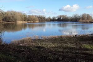 Whelford Pools Fisheries Ltd