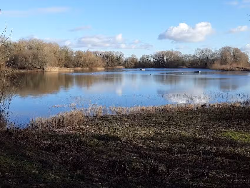 Whelford Pools Fisheries Ltd