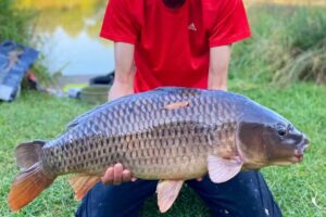 Whetstone Gorse Fishery