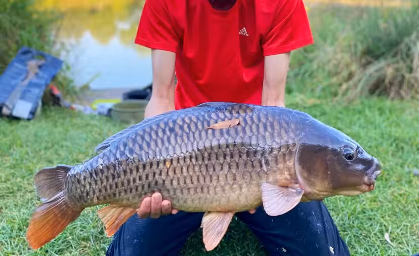 Whetstone Gorse Fishery