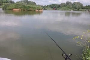 Whitmore Fisheries – Fishing Lakes