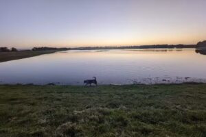 Whittle Dene Fishery