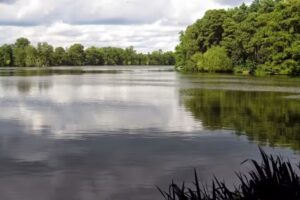 Willesley Lake Carp and Course Fishery