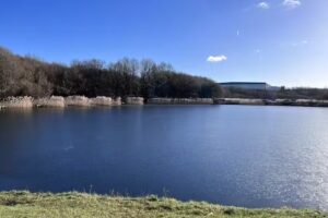 Williamthorpe Ponds