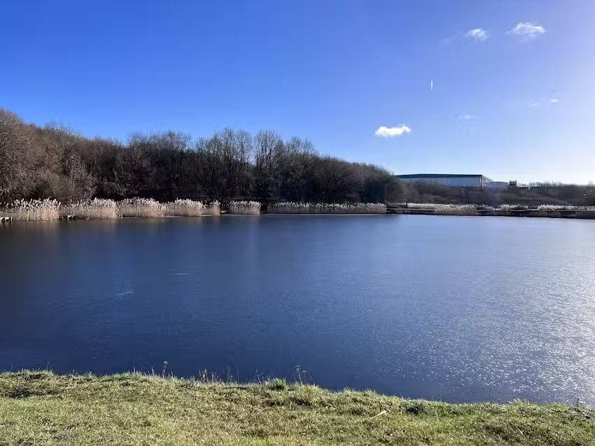 Williamthorpe Ponds