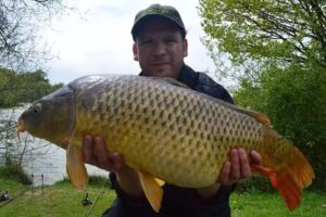 Willinghurst Fishery