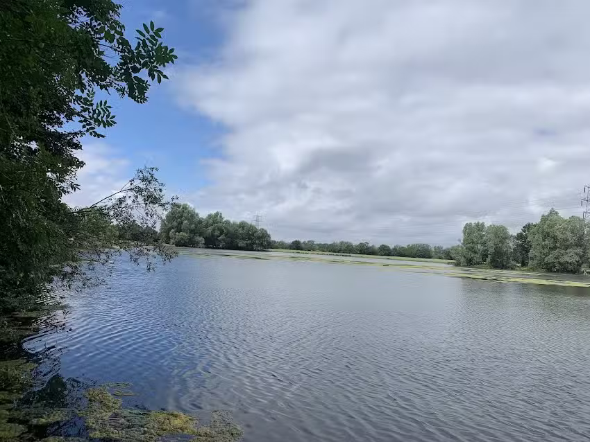 Willington Lake