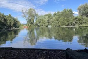 Willow Fisheries