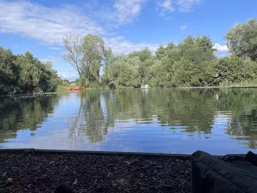 Willow Fisheries