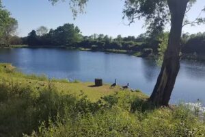 Willow Lakes Suffolk