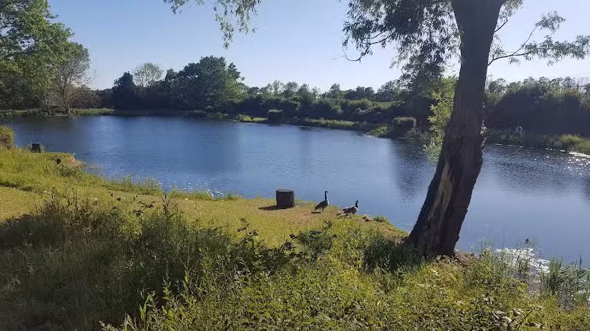 Willow Lakes Suffolk
