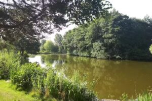 Willow Springs Fishery