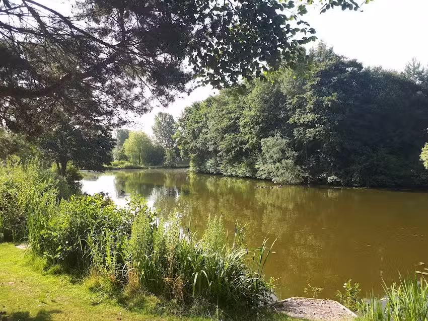 Willow Springs Fishery