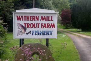 Withern Mill Trout Farm
