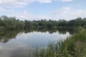 Woodfold Fisheries