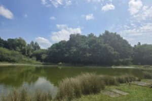 Woodhouse Fish Farm Fishery