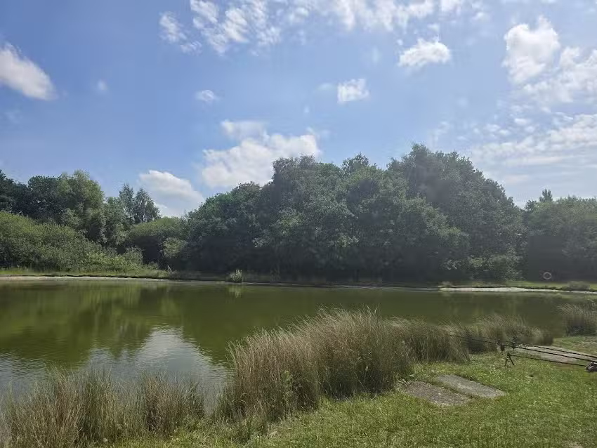 Woodhouse Fish Farm Fishery