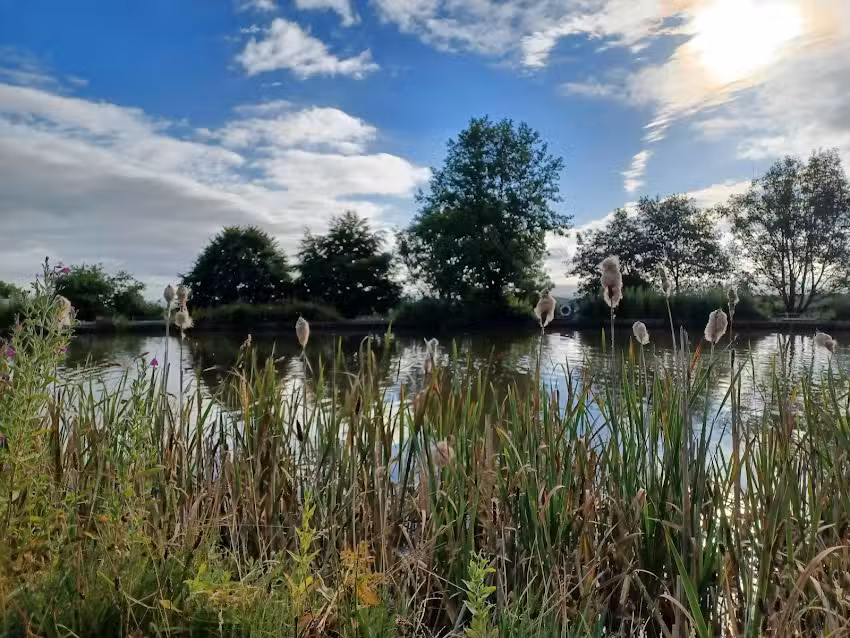 WRIGHTINGTON FISHERIES