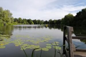 Wybunbury Anglers Association